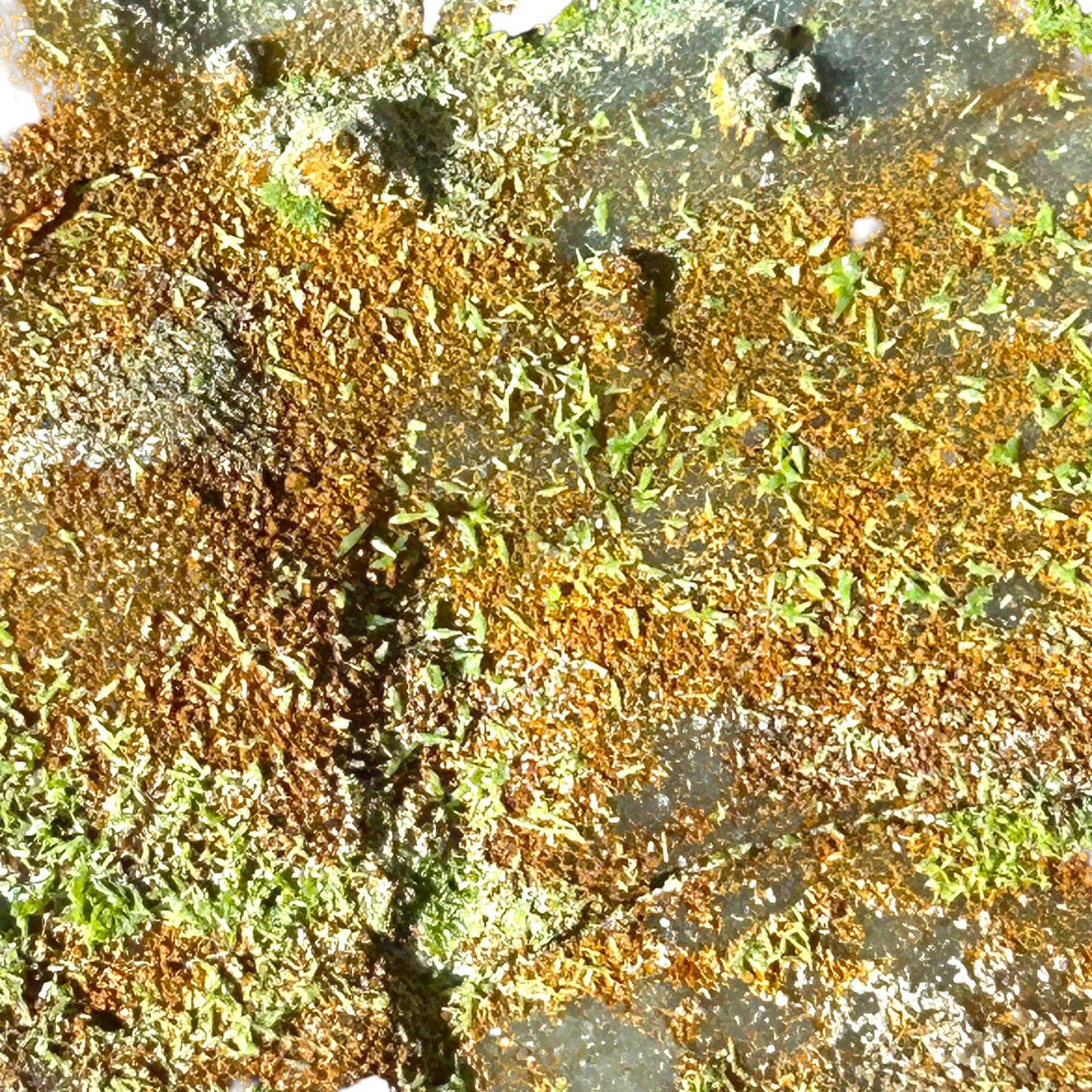 Pyromorphite - Longkamp, Hunsrück, Germany
