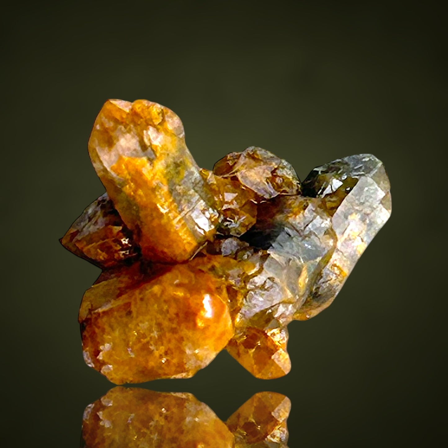Quartz with fungus inclusions