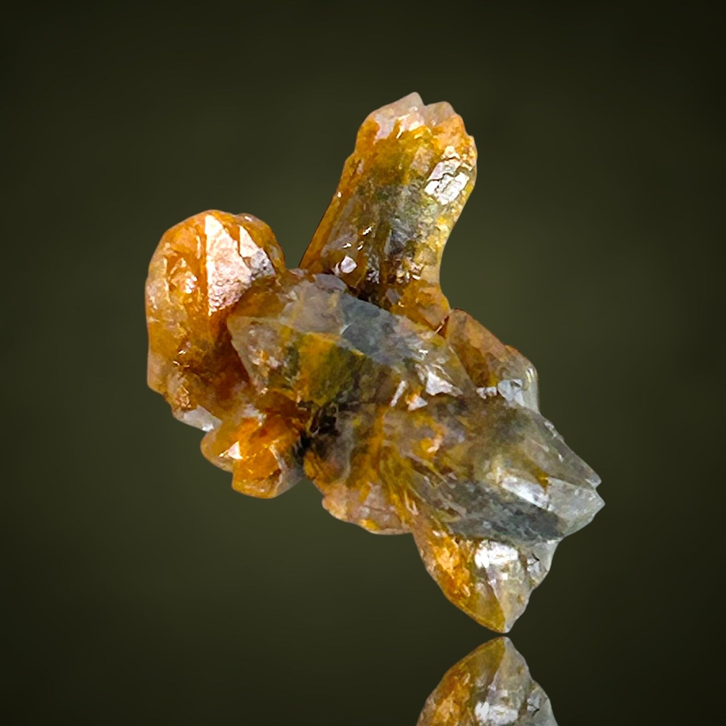 Quartz with fungus inclusions