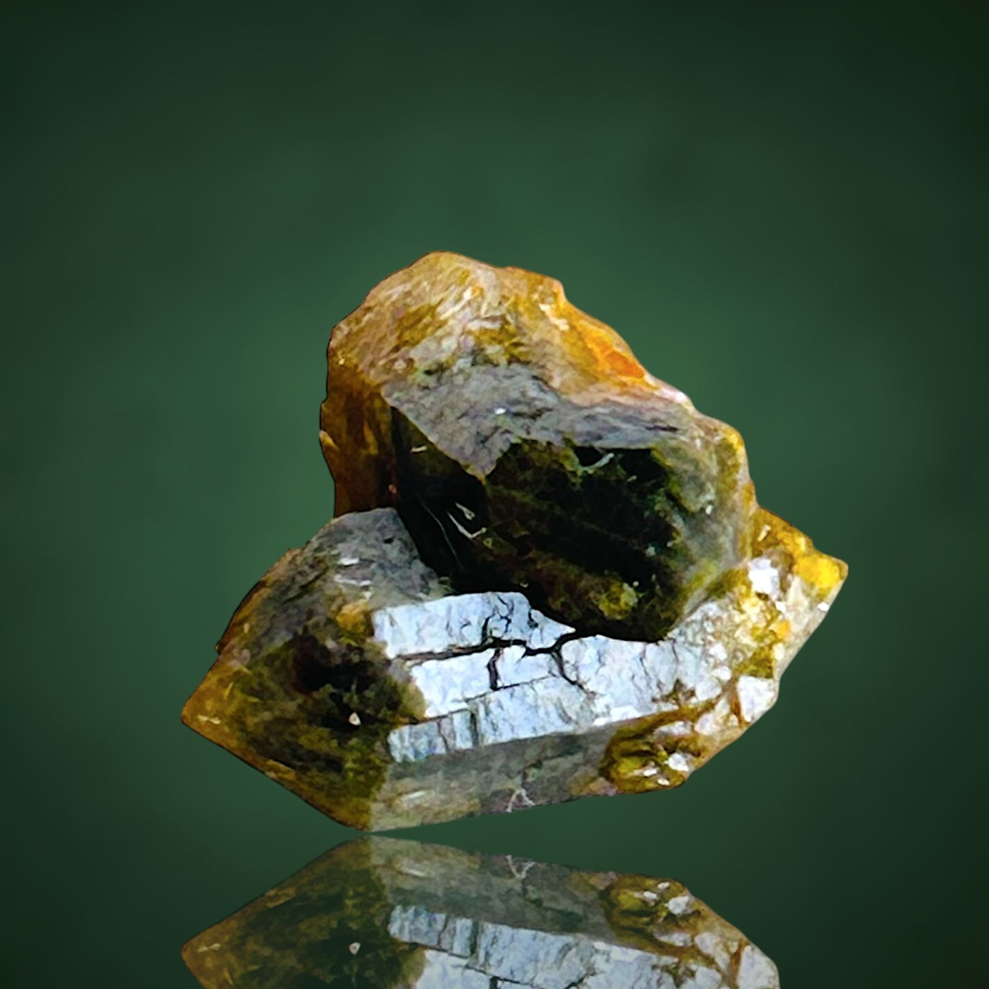 Quartz with fungus inclusions
