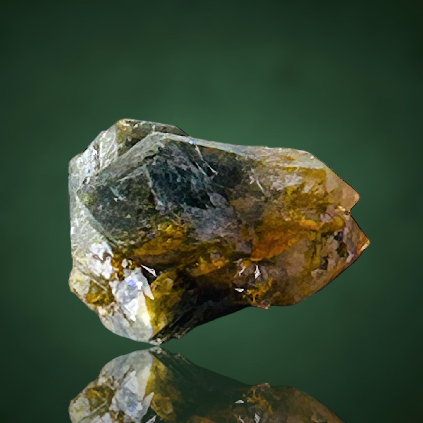 Quartz with fungus inclusions