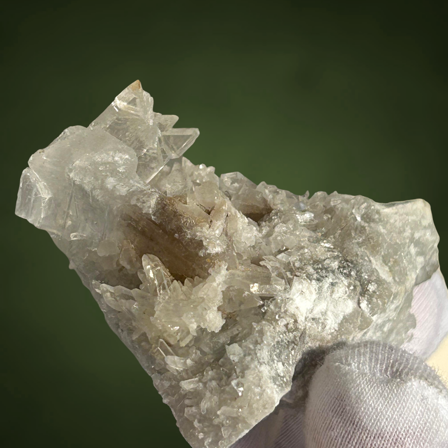 Swallow-tail Gypsum & Strontioginorite - Kohnstein