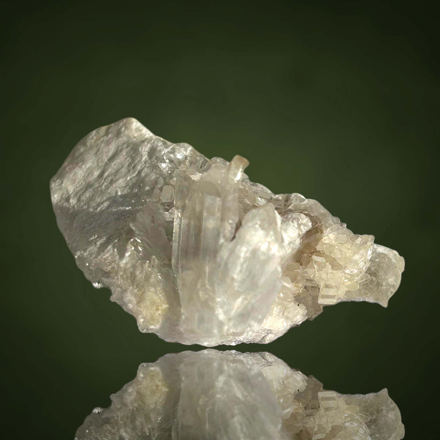 Swallow-tail Gypsum & Strontioginorite - Kohnstein