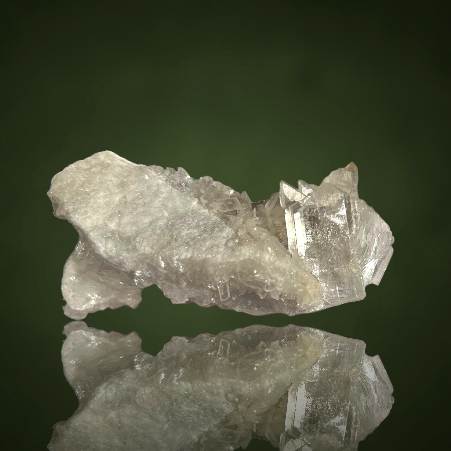 Swallow-tail Gypsum & Strontioginorite - Kohnstein