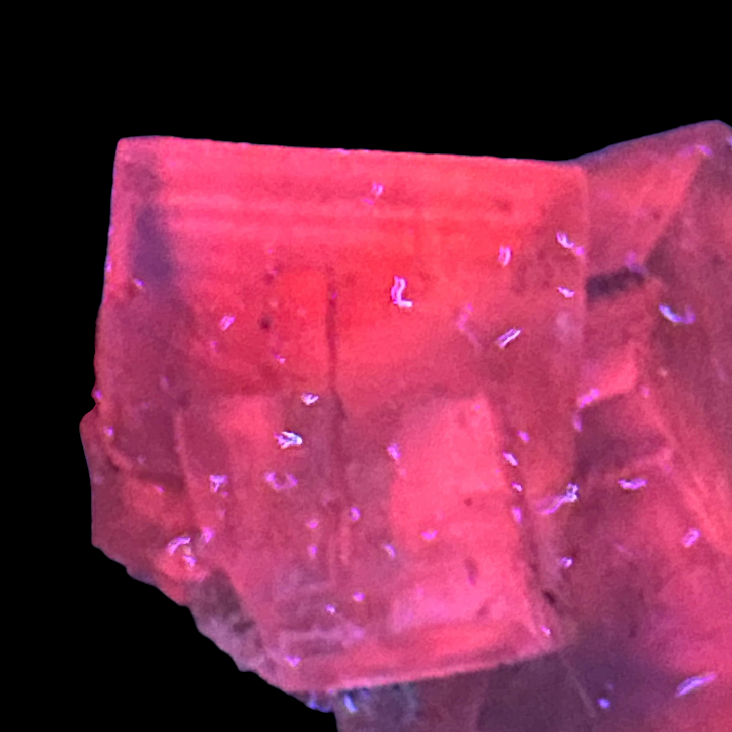 Halite & Sylvite - Bleicherode, Thuringia