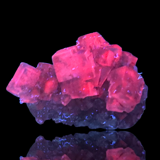 Halite - Bleicherode, Thuringia