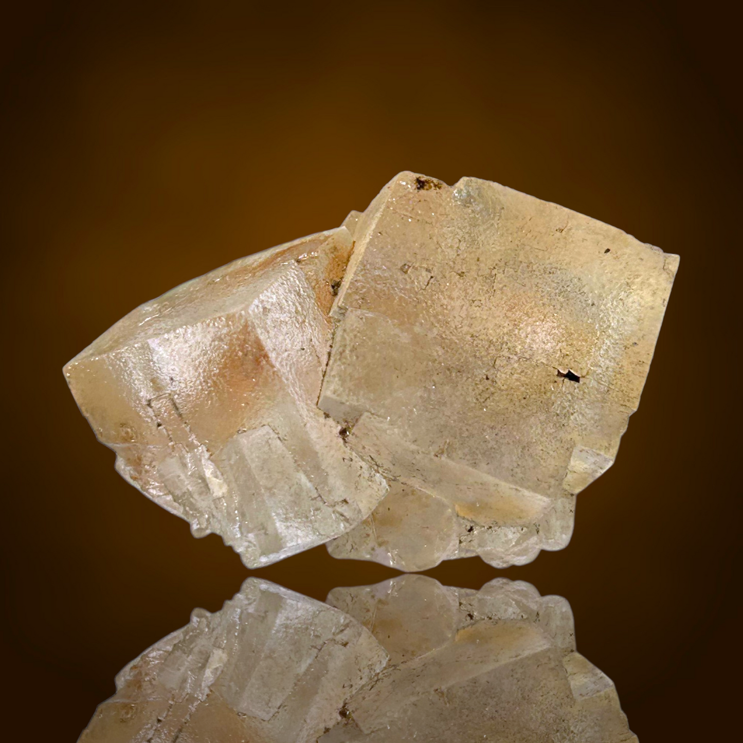 Halite & Sylvite - Bleicherode, Thuringia