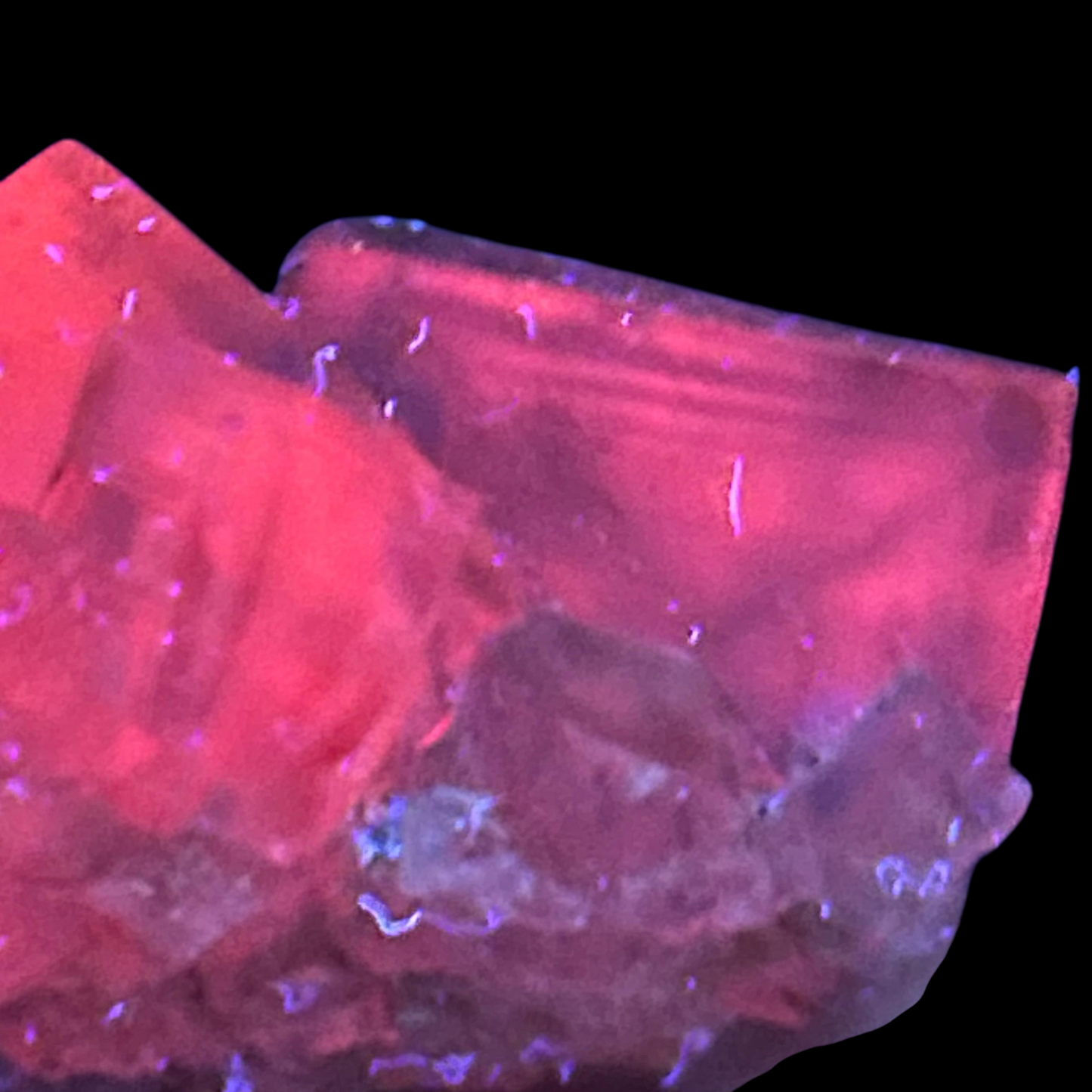 Halite & Sylvite - Bleicherode, Thuringia