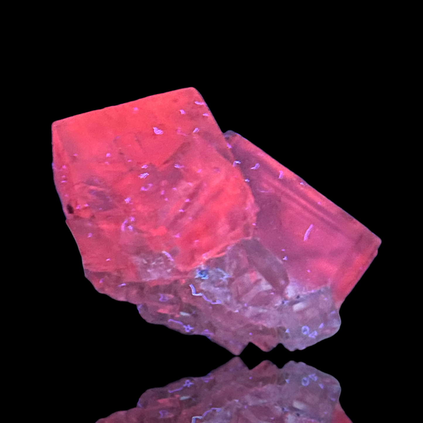 Halite & Sylvite - Bleicherode, Thuringia