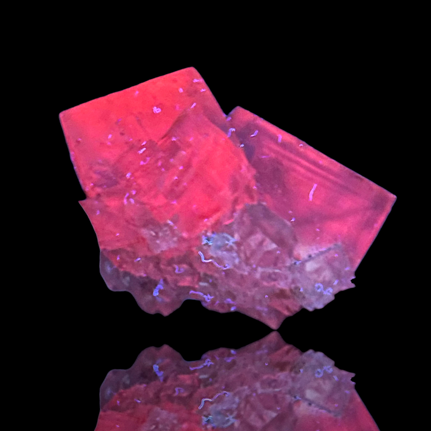 Halite & Sylvite - Bleicherode, Thuringia