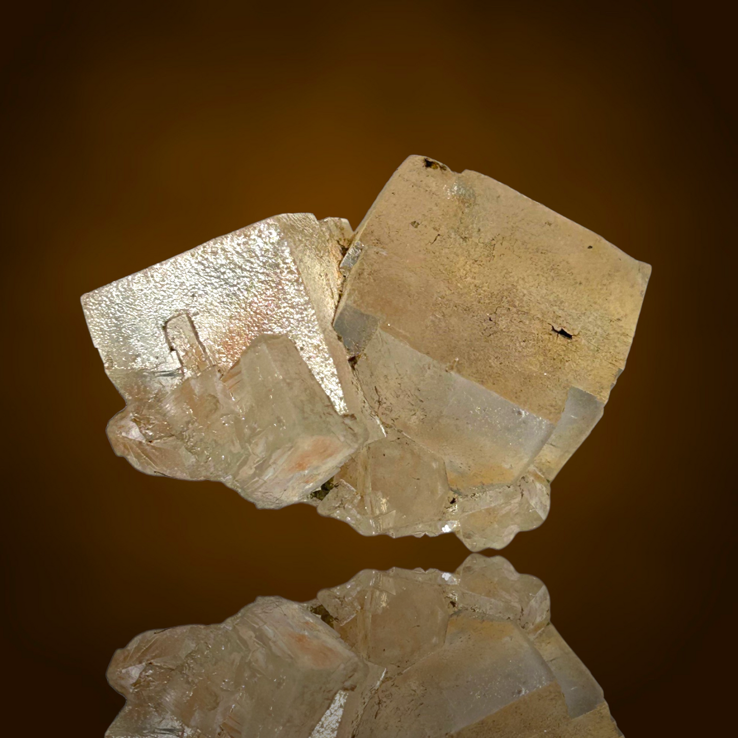 Halite & Sylvite - Bleicherode, Thuringia