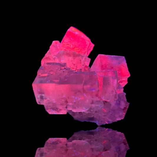 Halite - Bleicherode