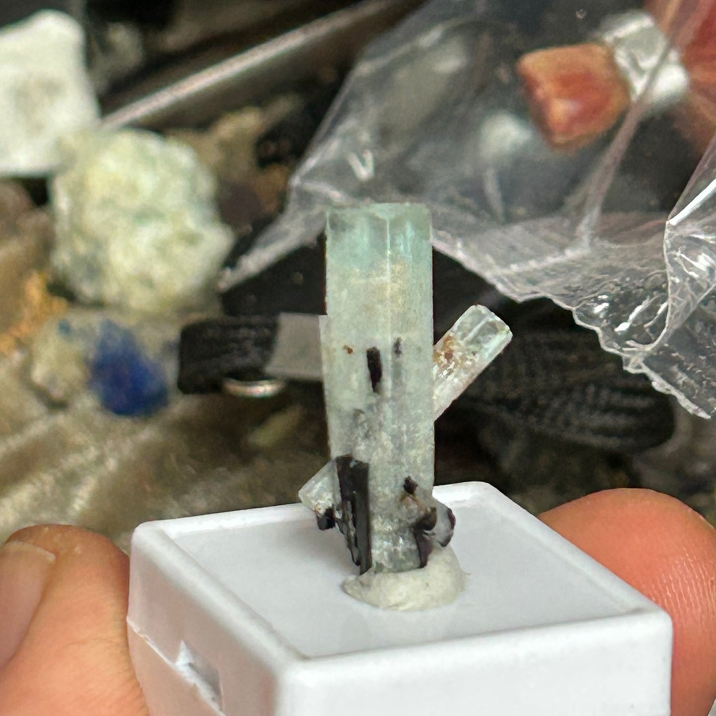 Aquamarin/e, Orthoclas/e - Erongo, Namibia