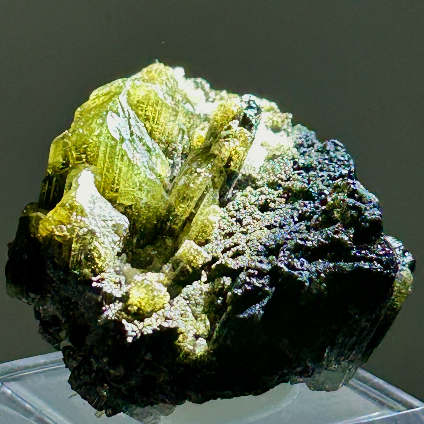 Tourmaline var. Darrelhenryite - Tanzania