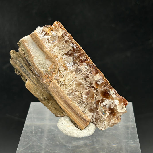 Natrolite, Calcite on petrified wood