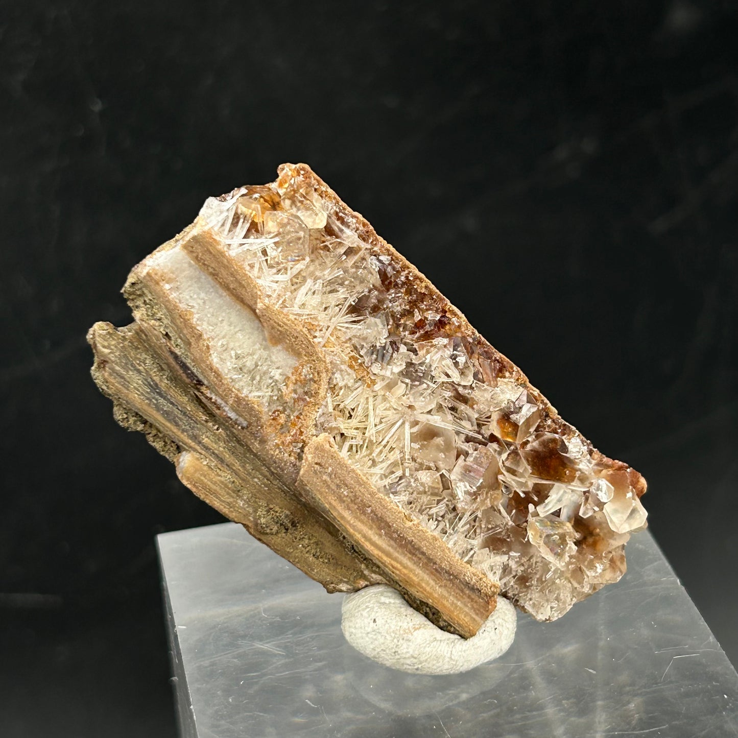 Natrolite, Calcite on petrified wood