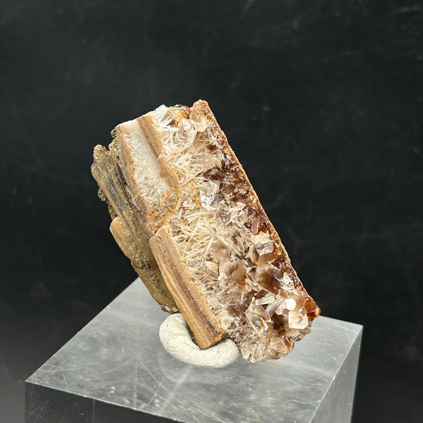 Natrolite, Calcite on petrified wood