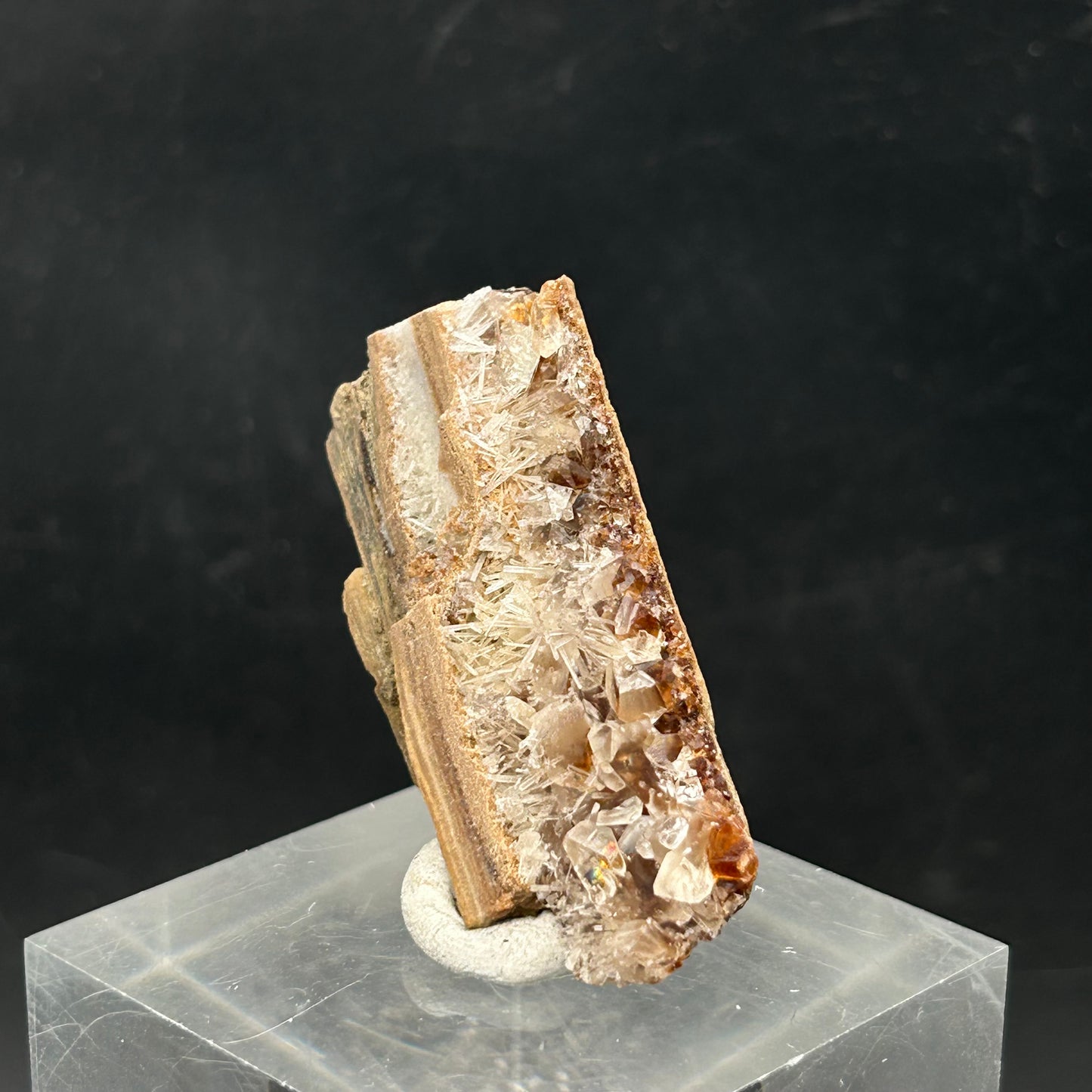 Natrolite, Calcite on petrified wood