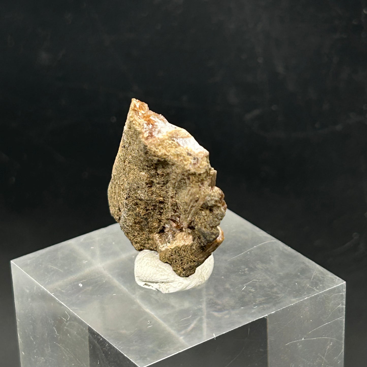 Natrolite, Calcite on petrified wood