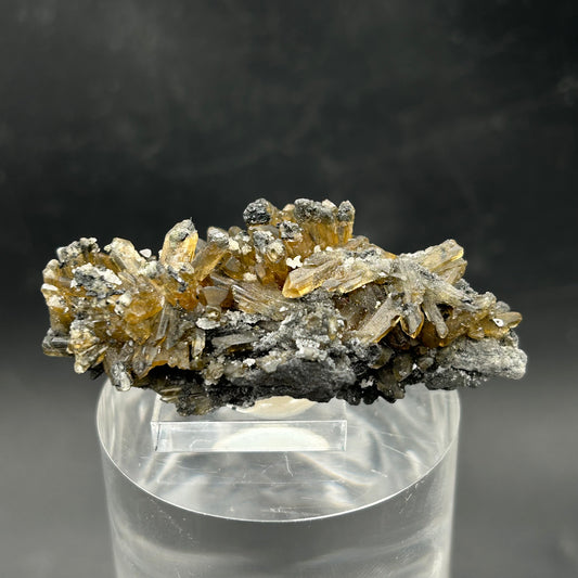 Golden Baryte - Rosh Pina, Namibia