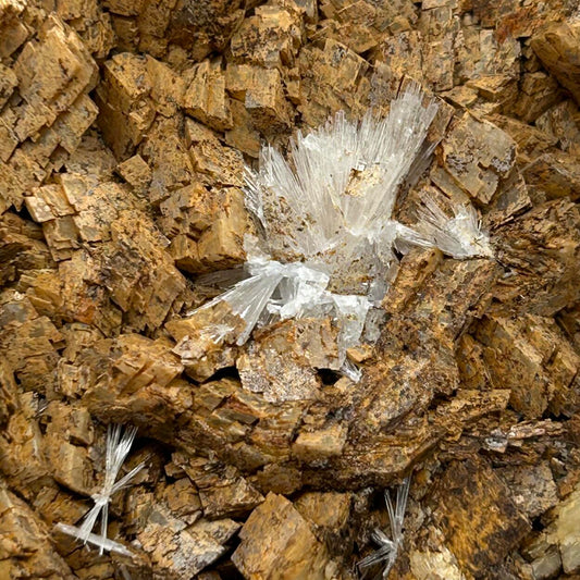 Aragonite & Dolomite - Heimberg Quarry