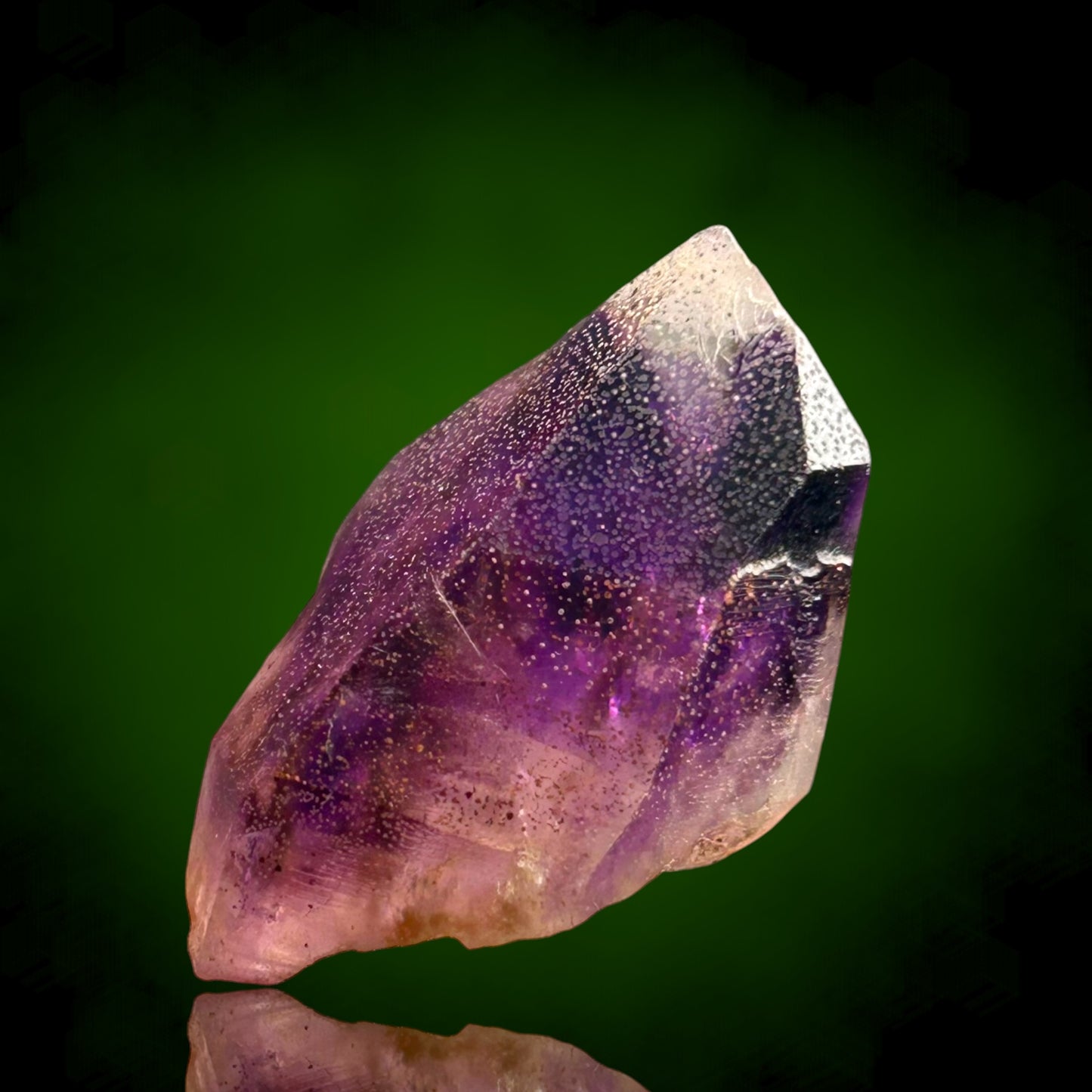 Amethyst Harlequin - Brandberg, Namibia