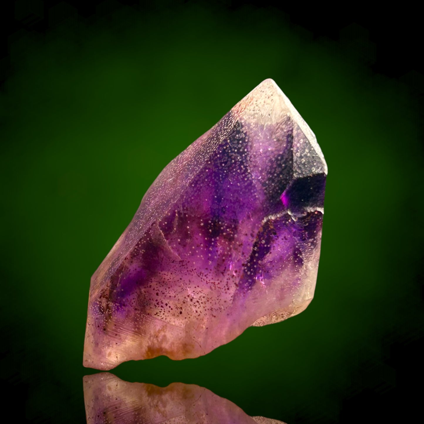 Amethyst Harlequin - Brandberg, Namibia