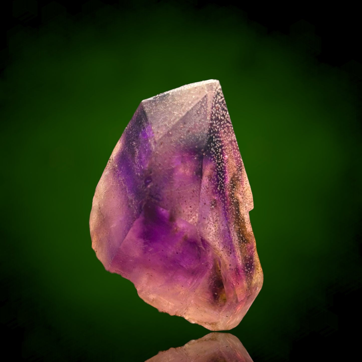 Amethyst Harlequin - Brandberg, Namibia