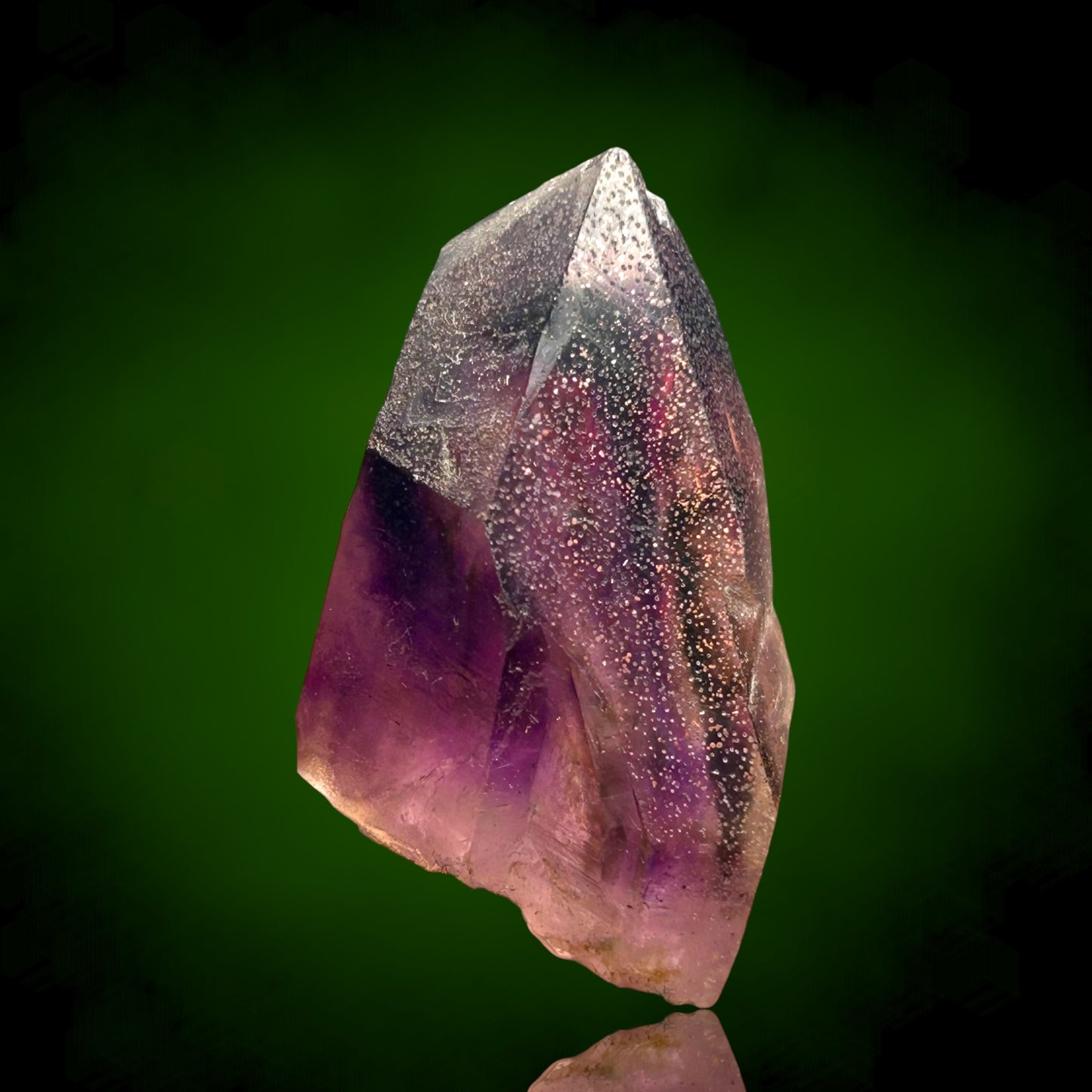 Amethyst Harlequin - Brandberg, Namibia