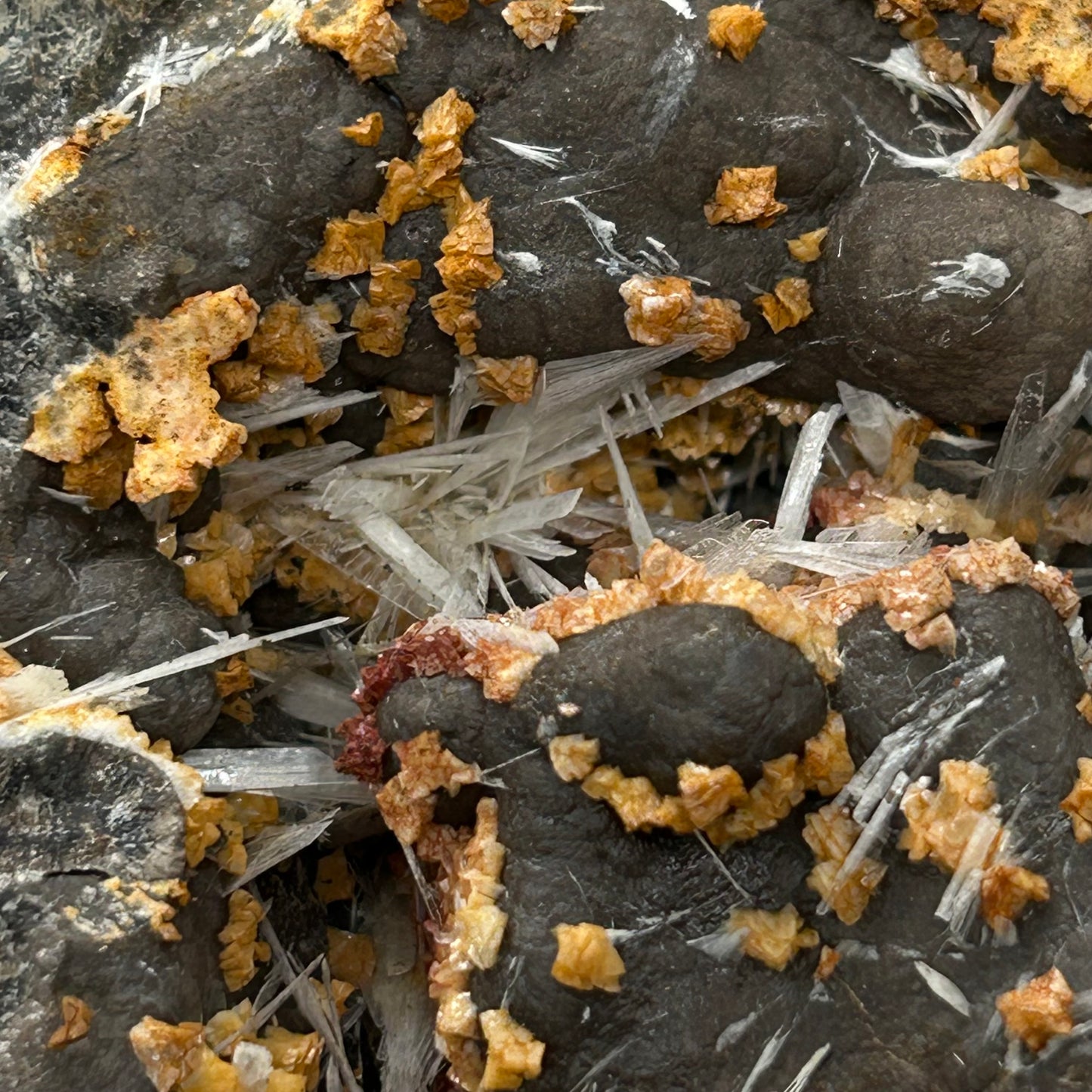 Celestine, Dolomite in Septarie - Serres, Haute-Alpes, France