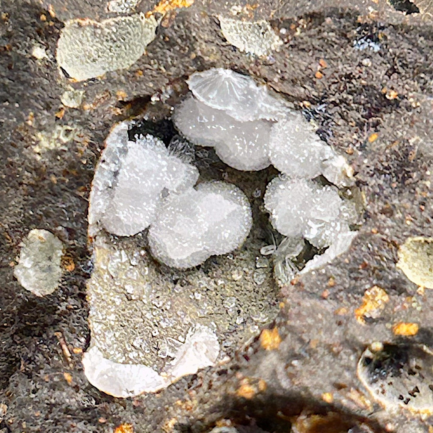 Phillipsite, Chabazite - Vogelsberg, Hessen