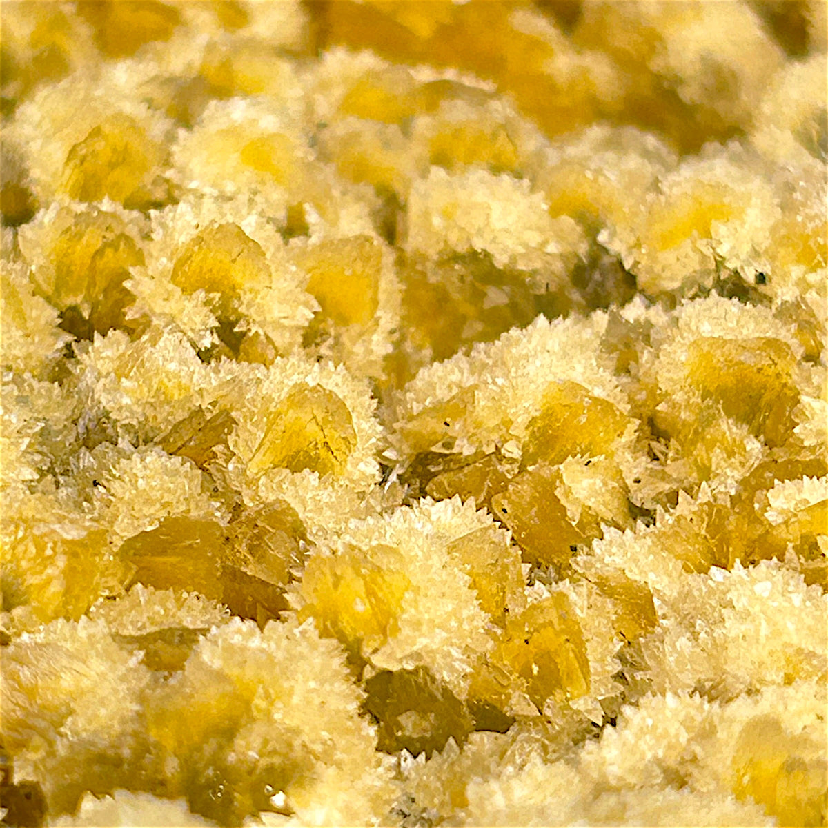 Calcite - Freiberg, Erzgebirge