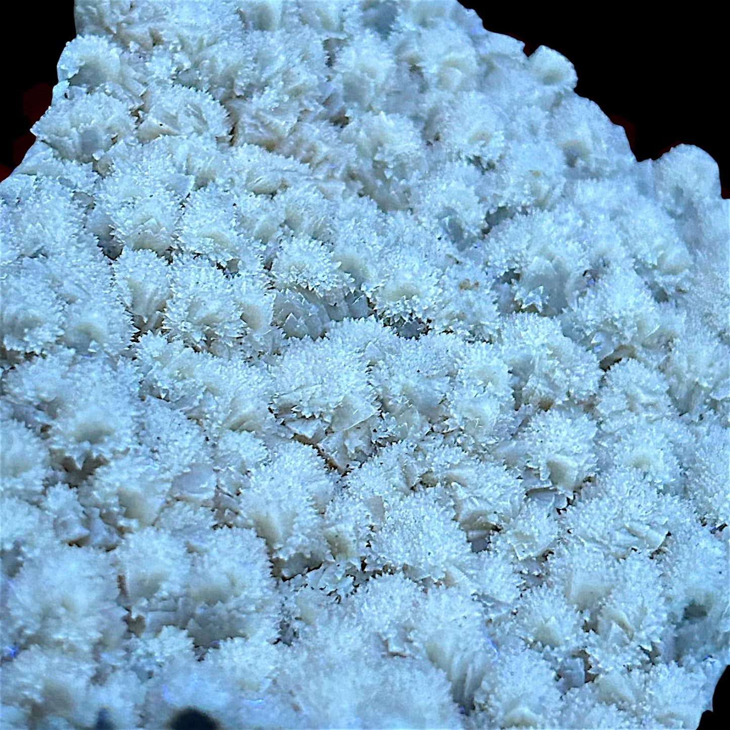 Calcite - Freiberg, Erzgebirge