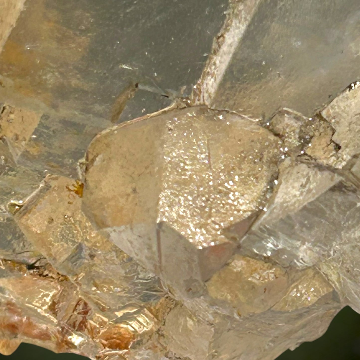 Halite & Sylvine - Bleicherode, South Harz
