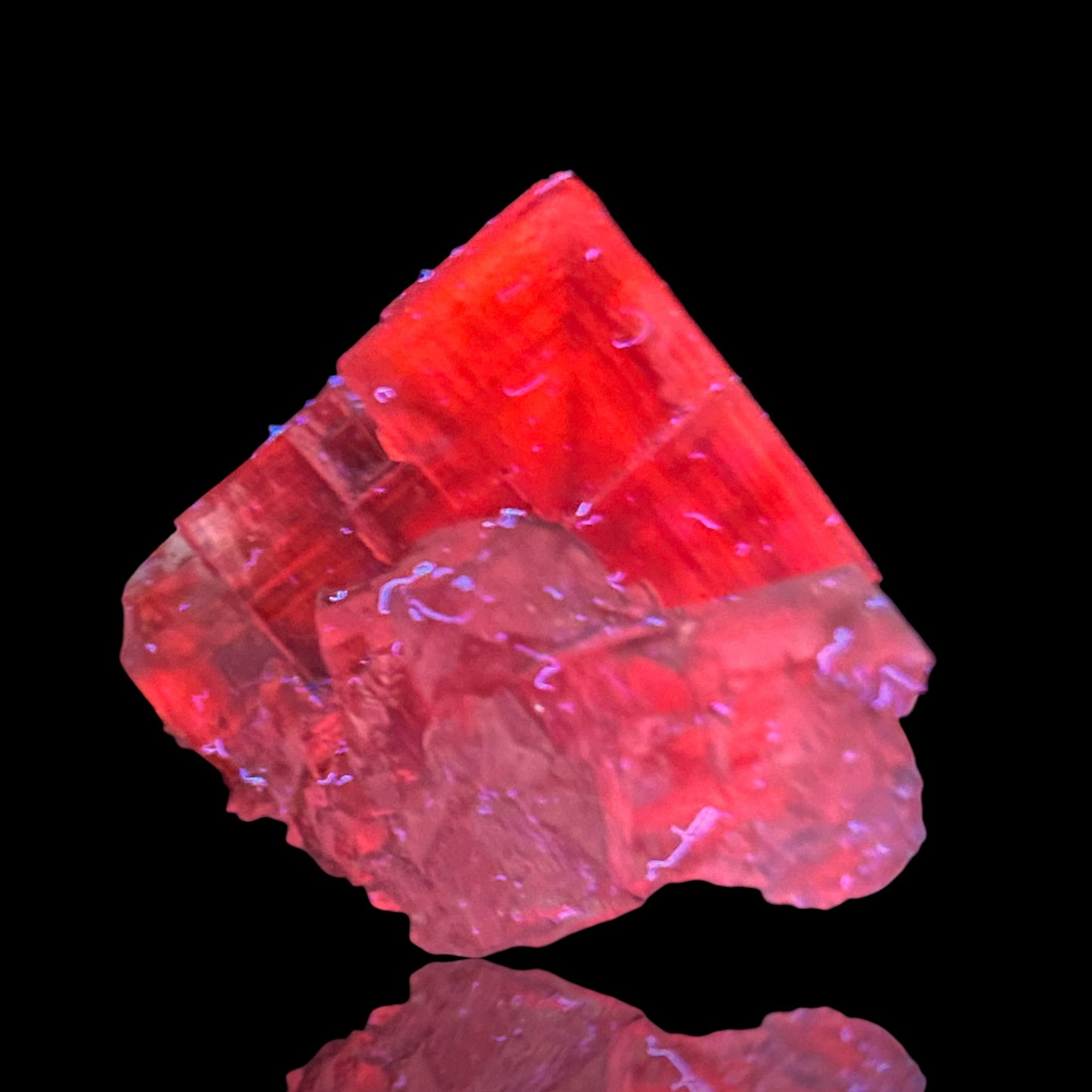 Halite & Sylvine - Bleicherode, South Harz