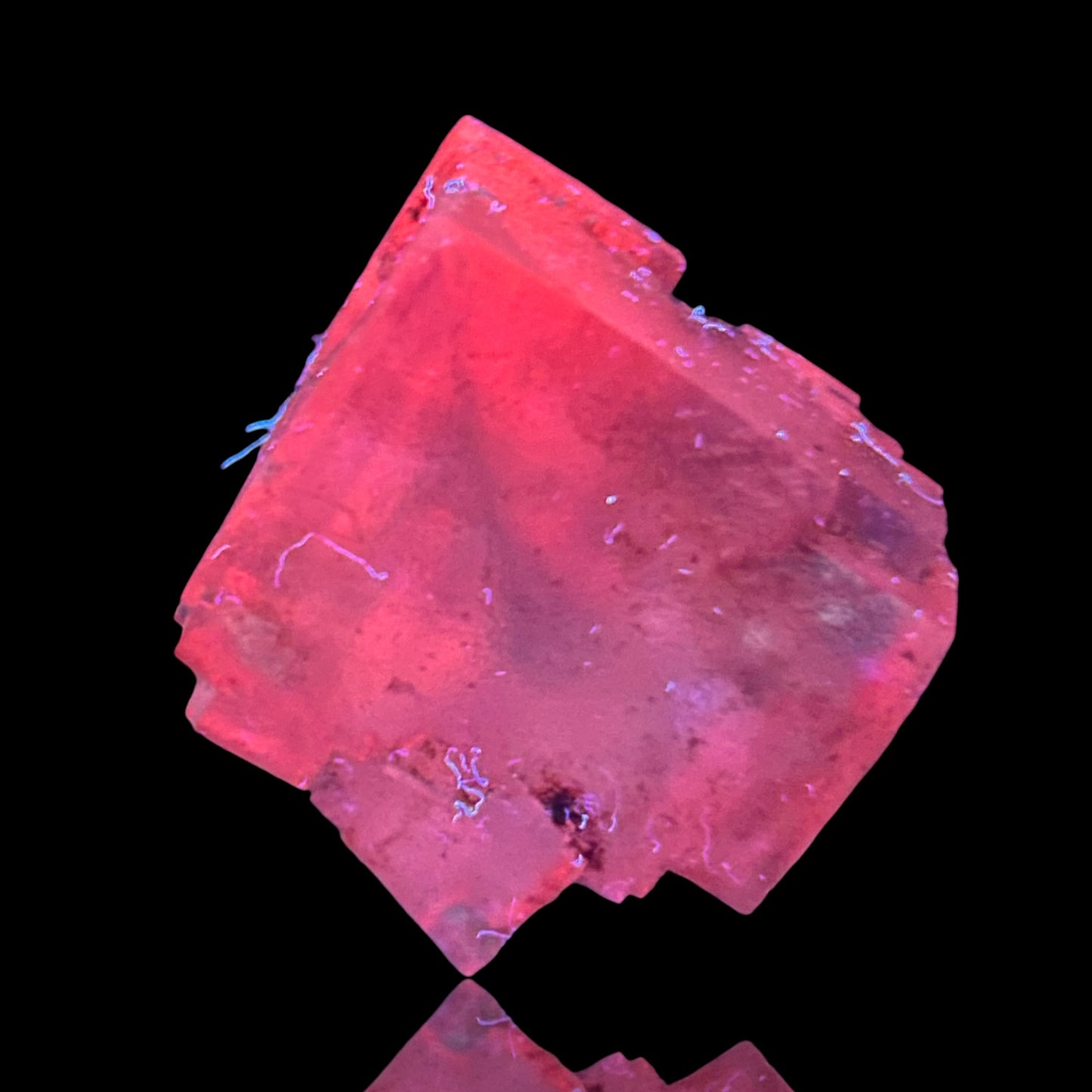 Halite & Sylvine - Bleicherode, South Harz