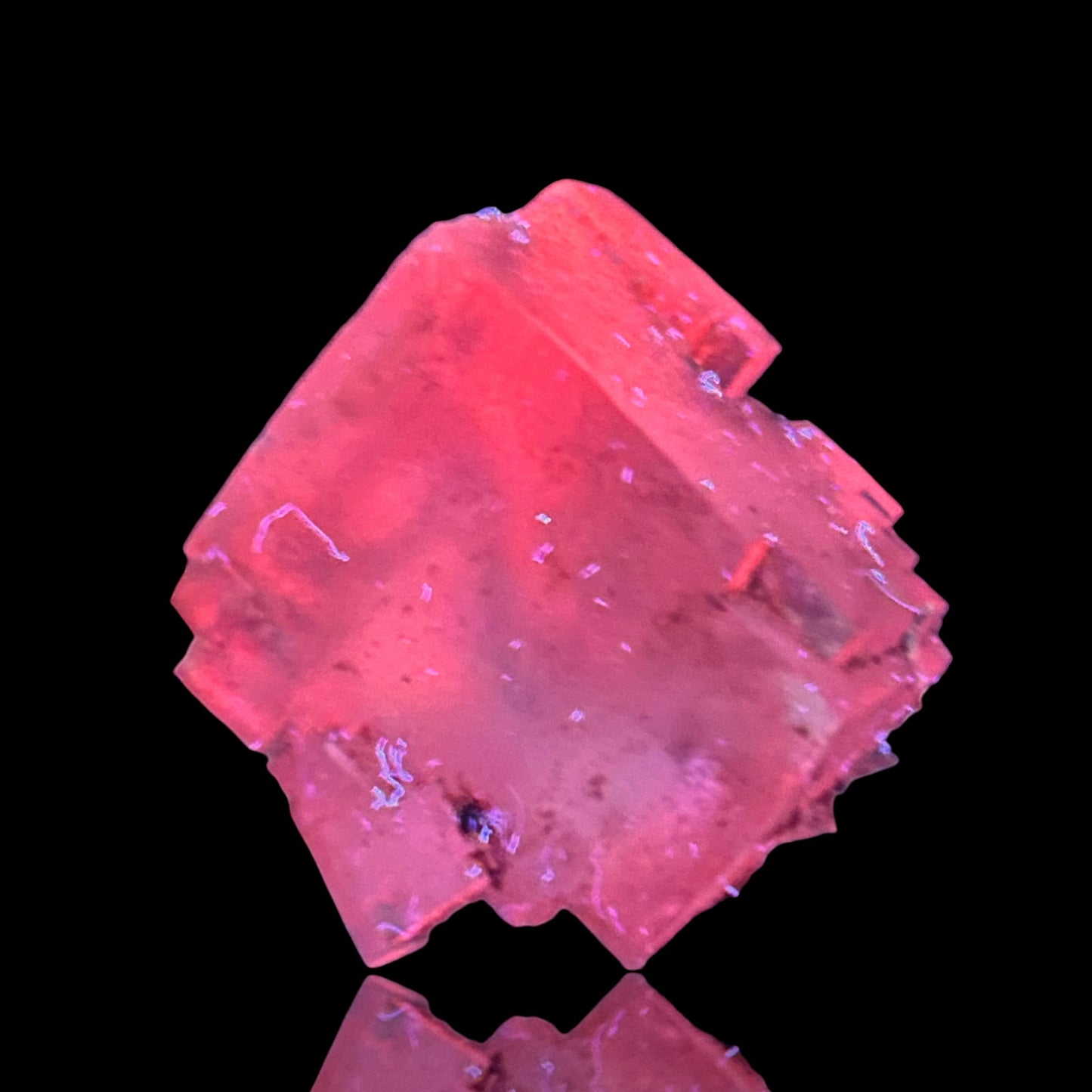 Halite & Sylvine - Bleicherode, South Harz