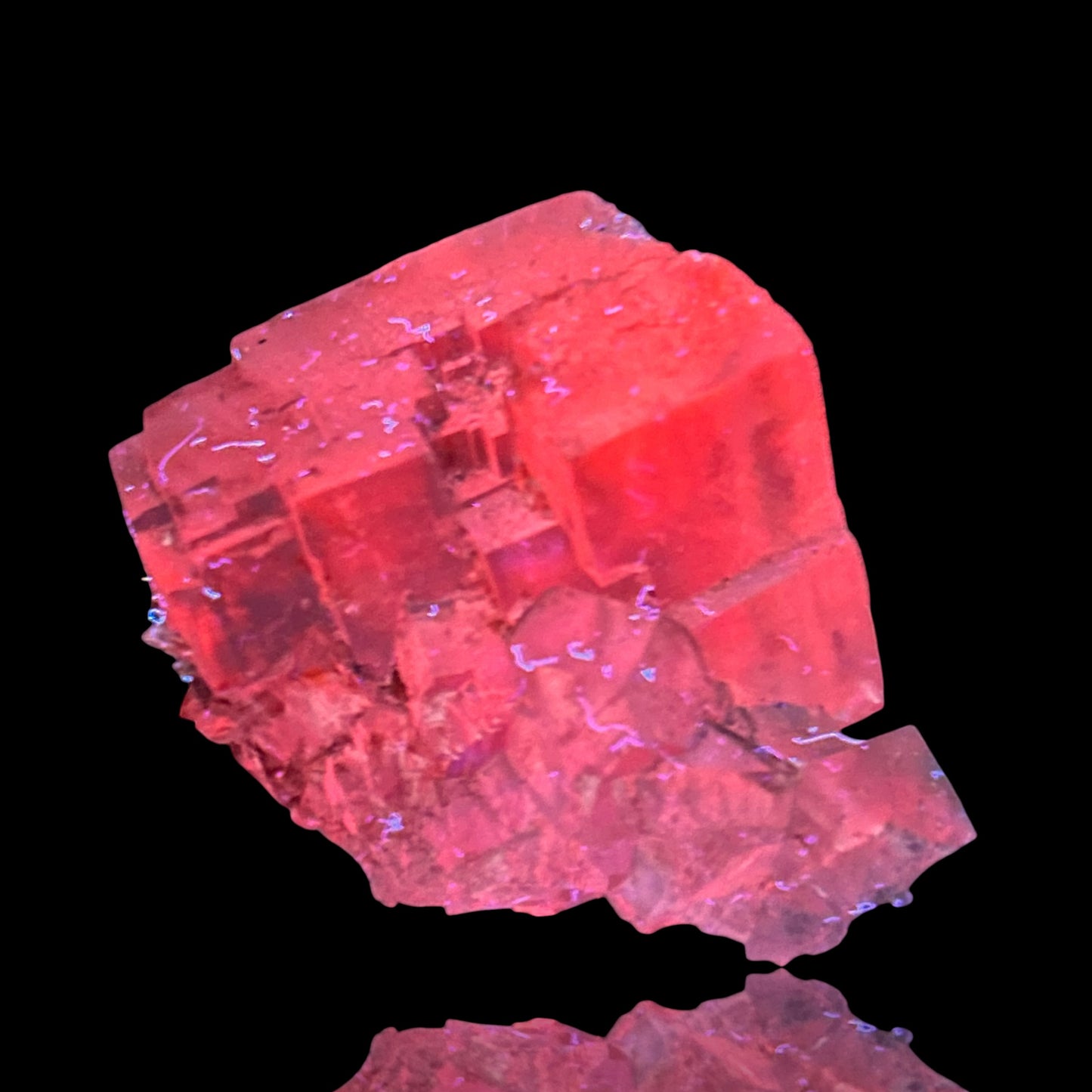 Halite & Sylvine - Bleicherode, South Harz