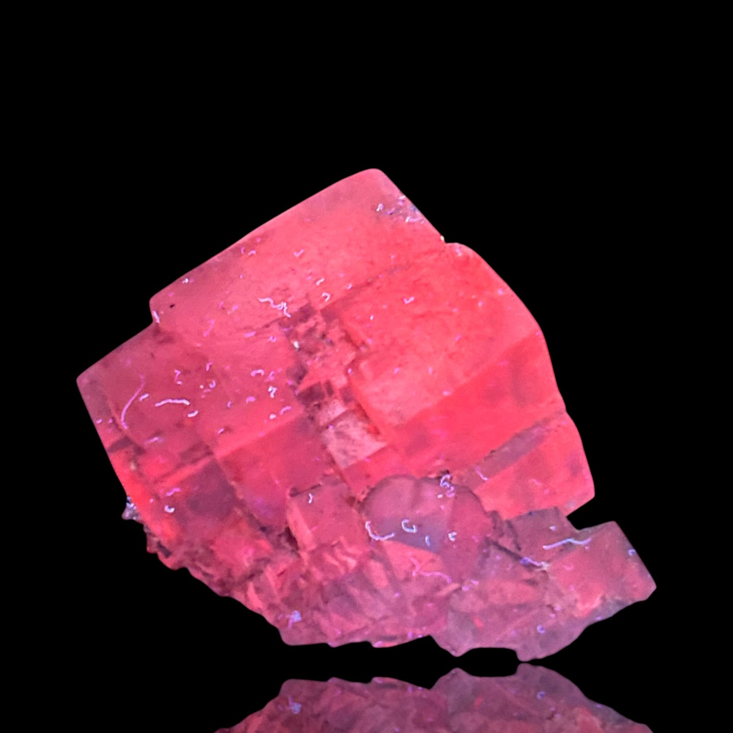 Halite & Sylvine - Bleicherode, South Harz