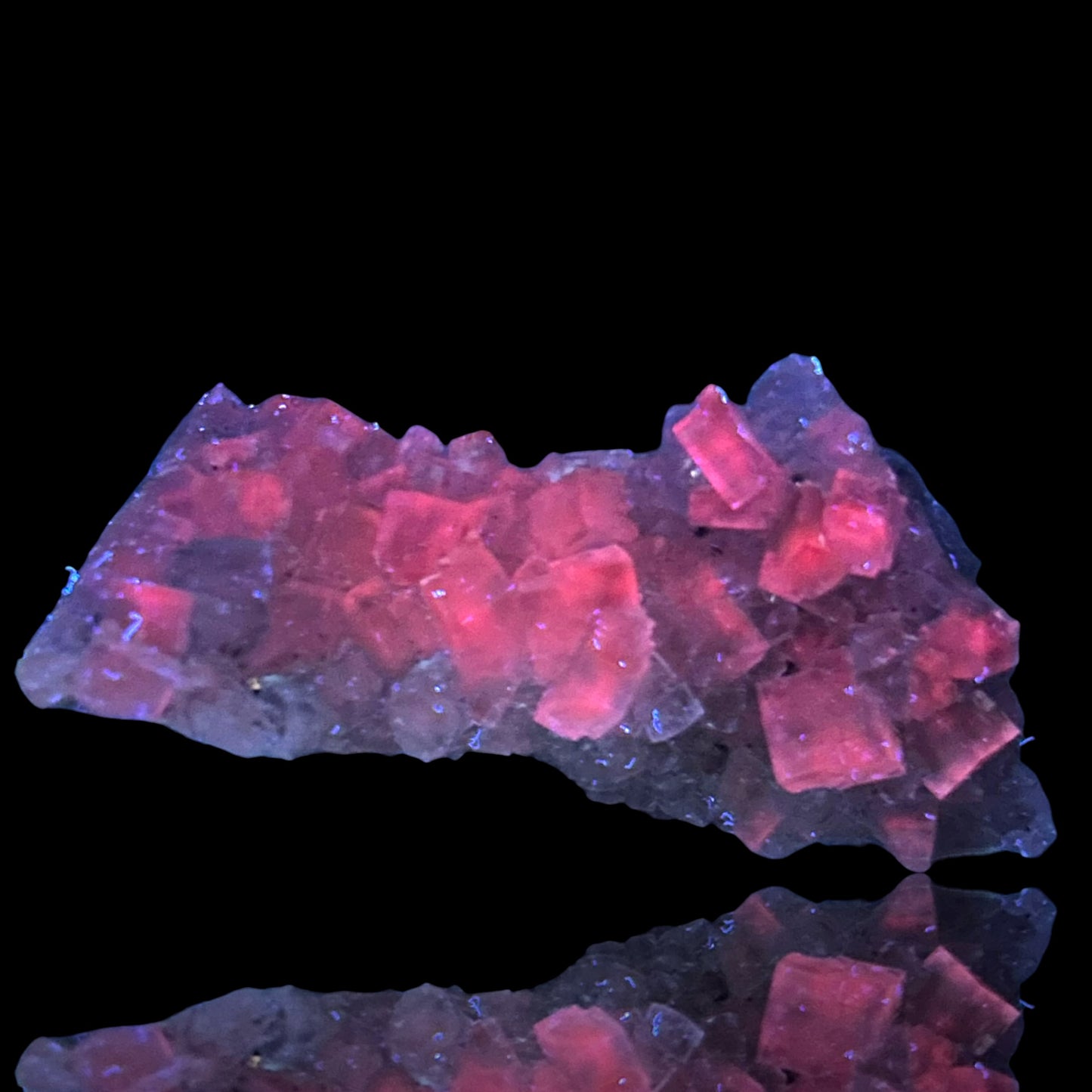 Halit & Sylvin - Bleicherode, Deutschland