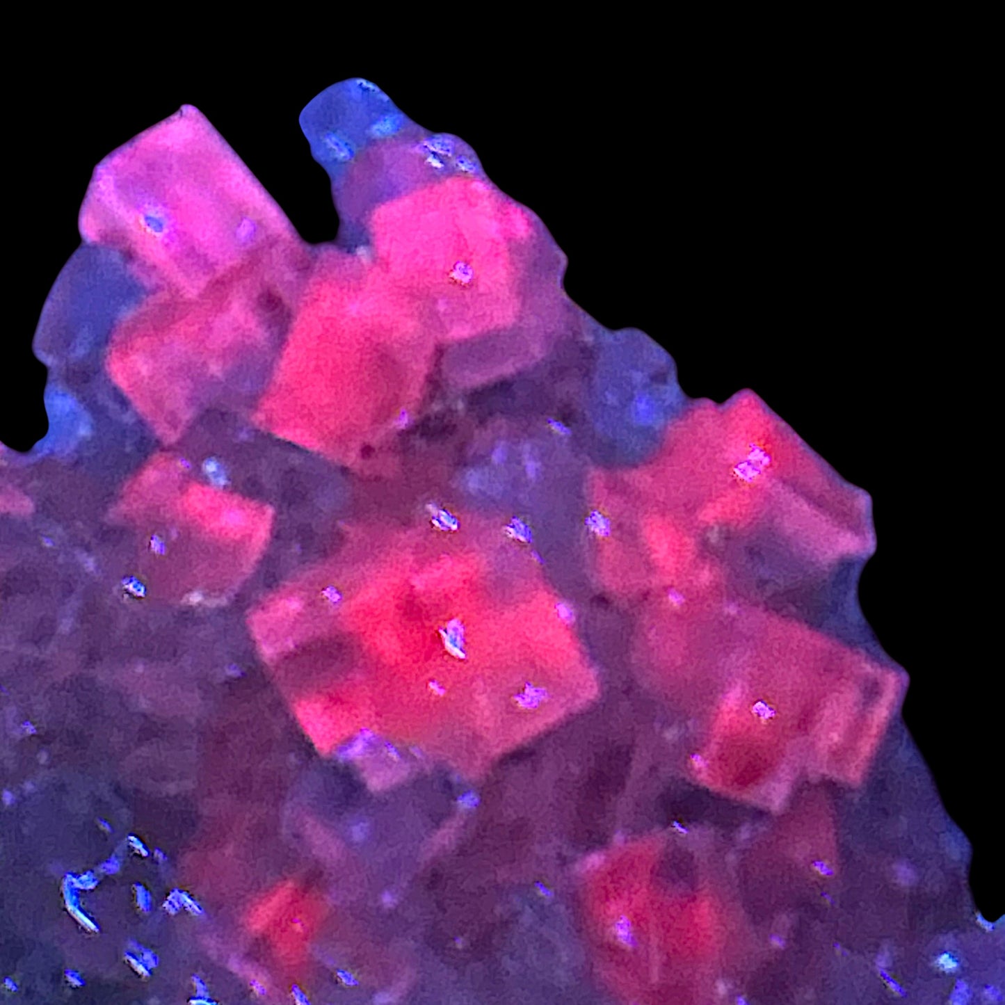 Halit & Sylvin - Bleicherode, Deutschland