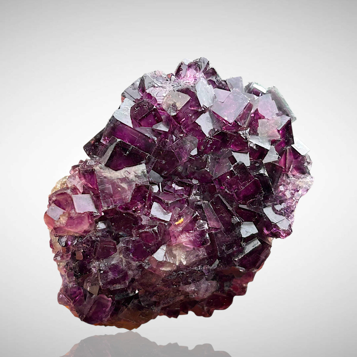 Fluorite - Okorusu, Namibia