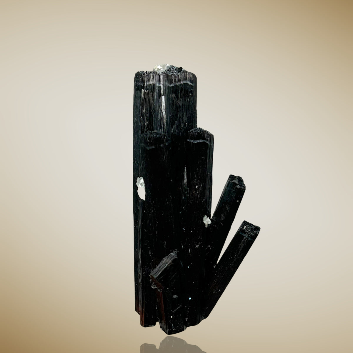 Tourmaline, Zinnwaldite - Erongo, Namibia