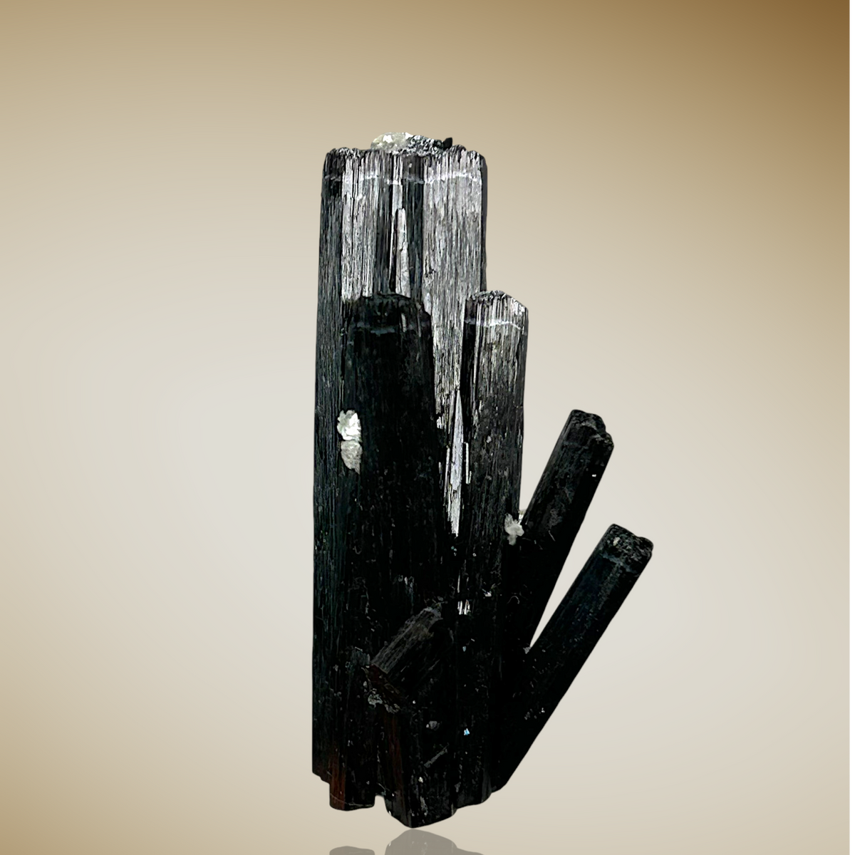 Tourmaline, Zinnwaldite - Erongo, Namibia