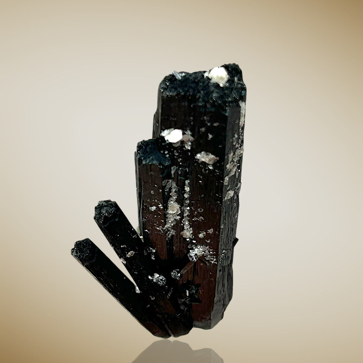 Tourmaline, Zinnwaldite - Erongo, Namibia