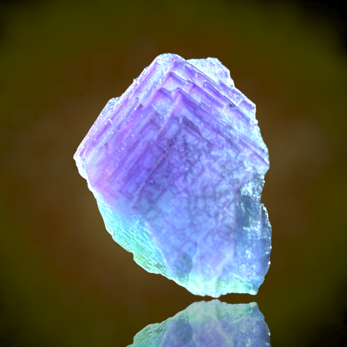 Alpine Fluorite - Weisseck, Lungau, Austria