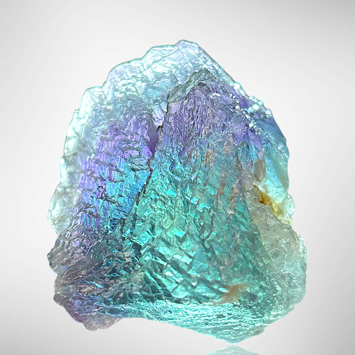 Alpine Fluorite - Weisseck, Lungau, Austria