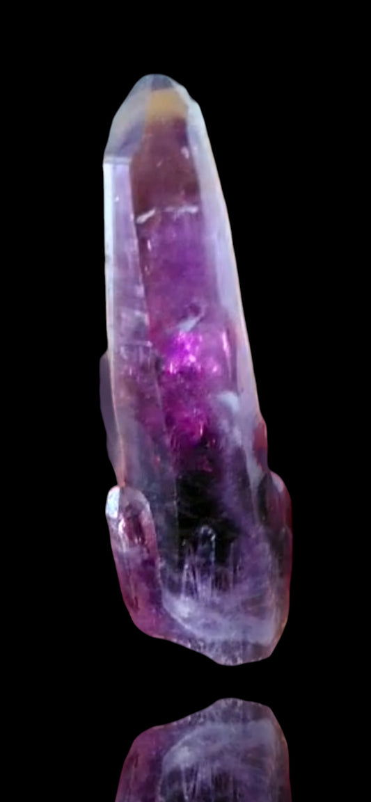 Amethyst with Phantom - Veracruz, Mexiko