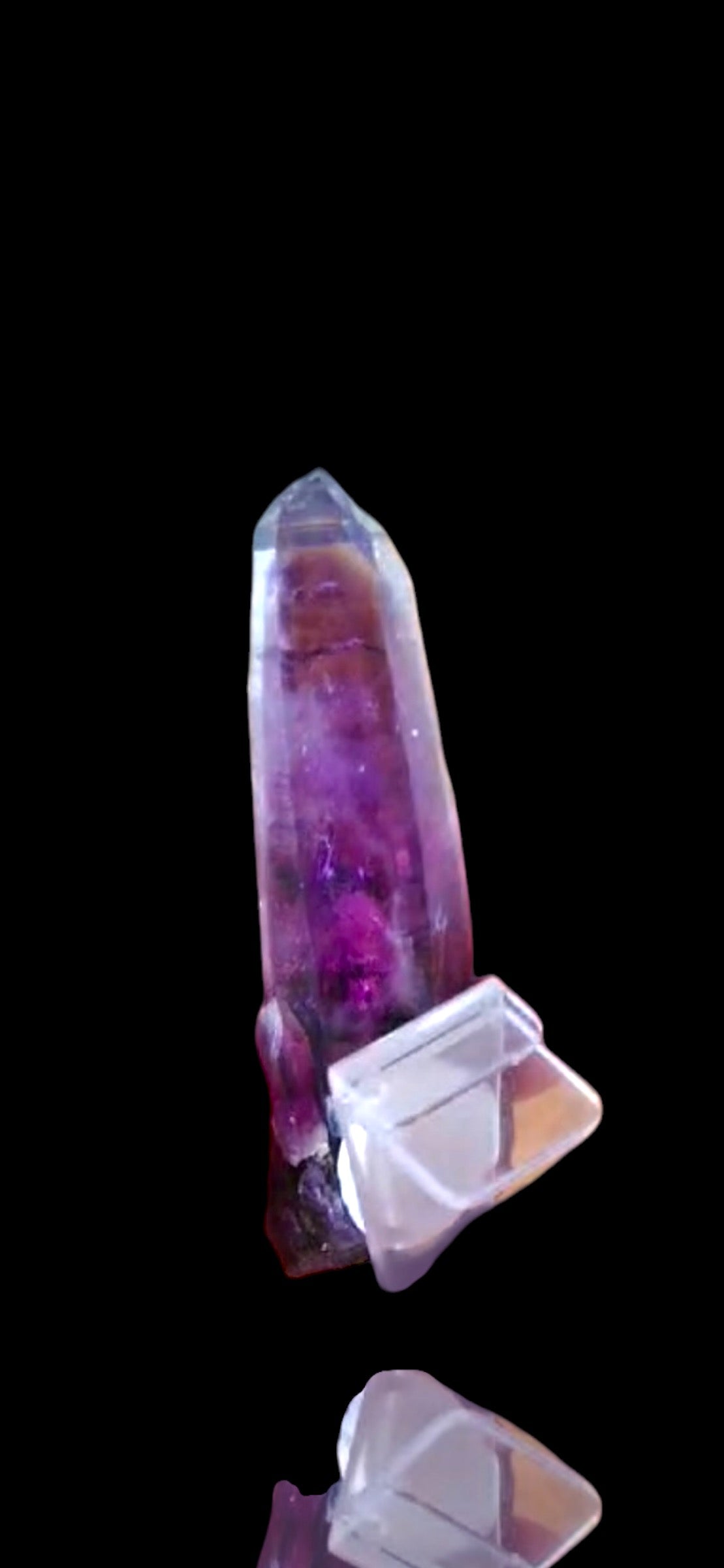 Amethyst with Phantom - Veracruz, Mexiko