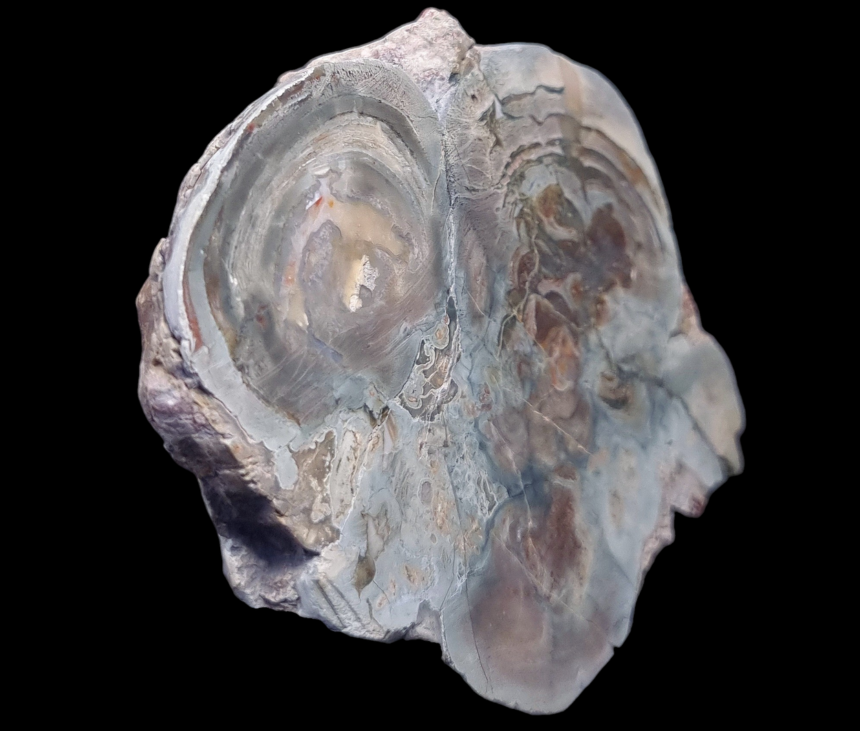 Agate - Lierbach Valley, Freiburg